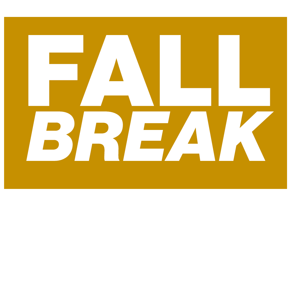 FALL BREAK image 
